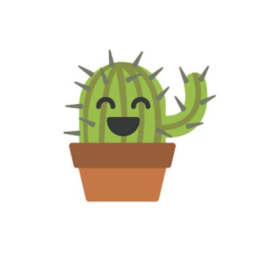 cactus yobitos
